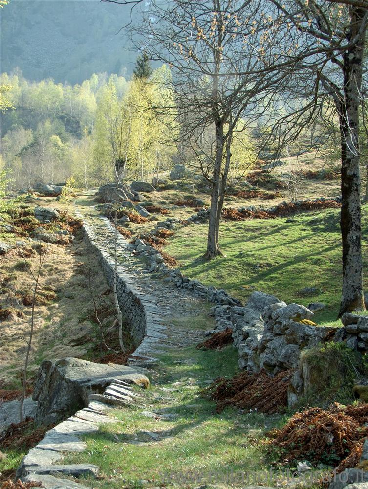 Desate presso Rosazza (Biella) - Paesaggio primaverile